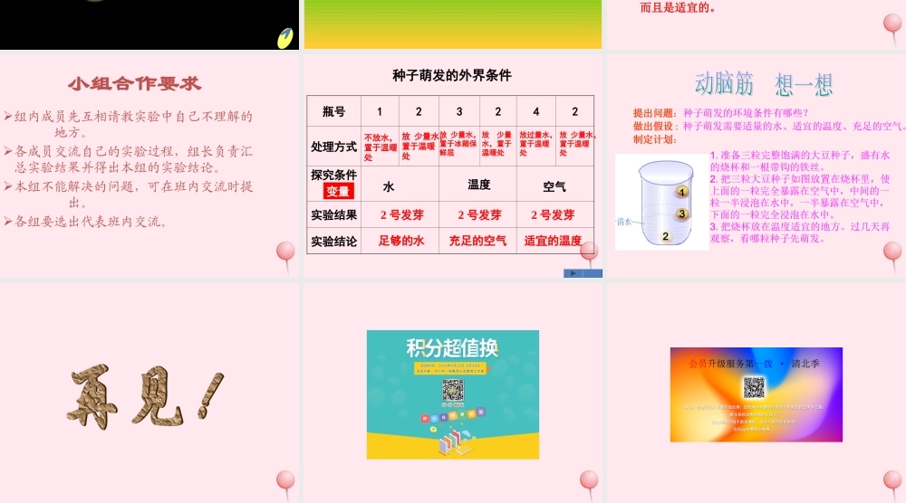 四年级科学下册 第一单元 第2课《种子发芽》课件3 鄂教版-鄂教版小学四年级下册自然科学课件