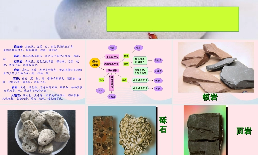 四年级科学下册 4 岩石和矿物 2认识几种常见的岩石课件 教科版-教科版小学四年级下册自然科学课件