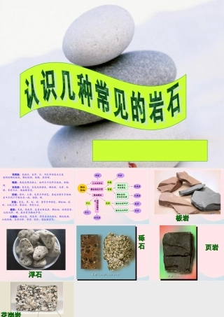 四年级科学下册 4 岩石和矿物 2认识几种常见的岩石课件 教科版-教科版小学四年级下册自然科学课件