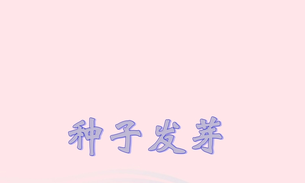 四年级科学下册 第一单元 第2课《种子发芽》课件4 鄂教版-鄂教版小学四年级下册自然科学课件