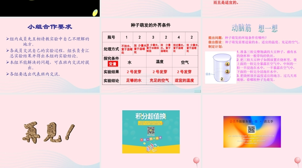 四年级科学下册 第一单元 第2课《种子发芽》课件4 鄂教版-鄂教版小学四年级下册自然科学课件