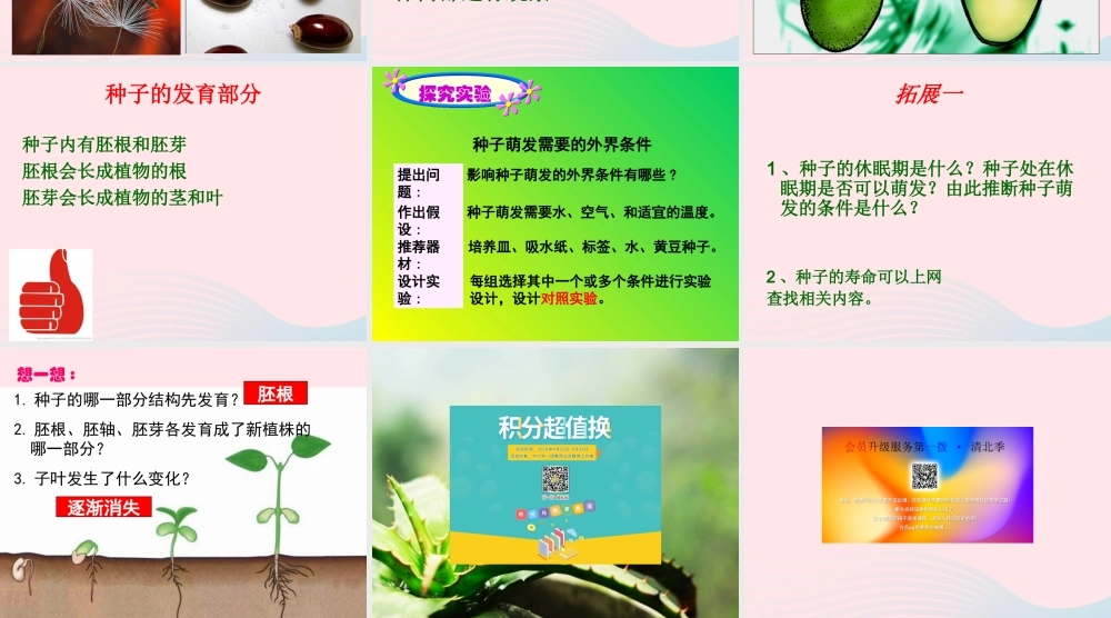 四年级科学下册 第一单元 第2课《种子发芽》课件5 鄂教版-鄂教版小学四年级下册自然科学课件