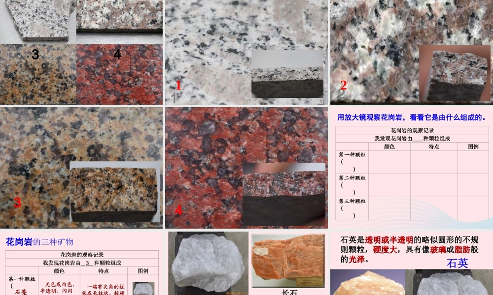 四年级科学下册 4 岩石和矿物 3 岩石的组成课件 教科版-教科版小学四年级下册自然科学课件