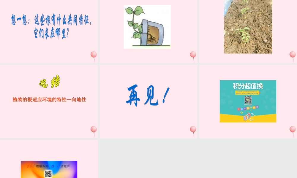 四年级科学下册 第一单元 第3课《向上长还是向下长》课件1 鄂教版-鄂教版小学四年级下册自然科学课件