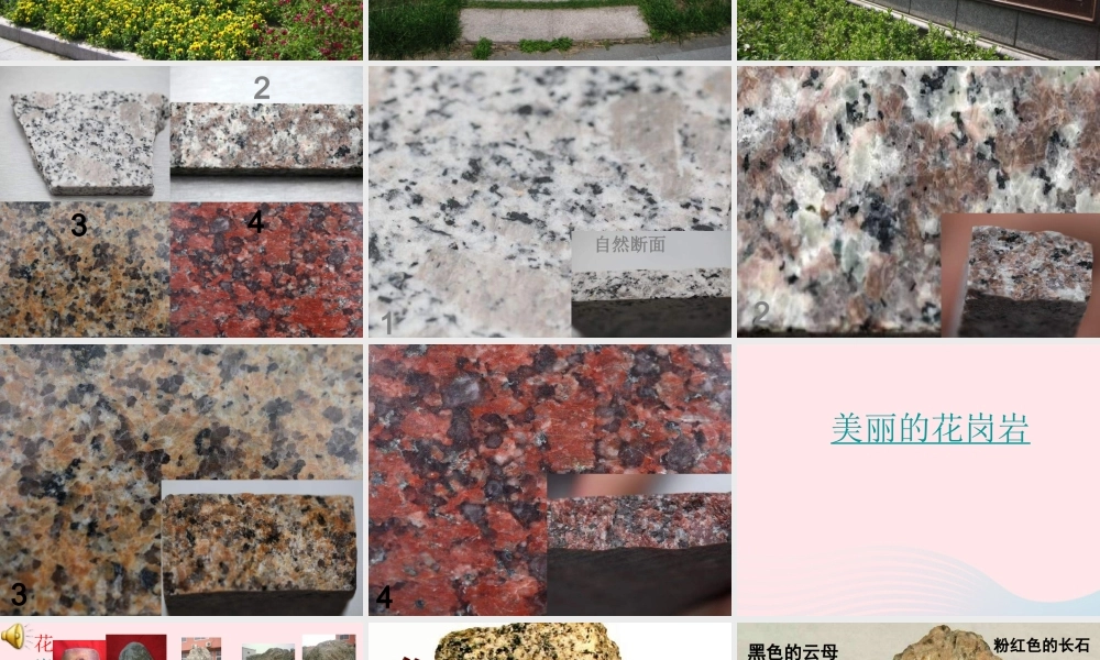 四年级科学下册 4 岩石和矿物 3 岩石的组成课件1 教科版-教科版小学四年级下册自然科学课件