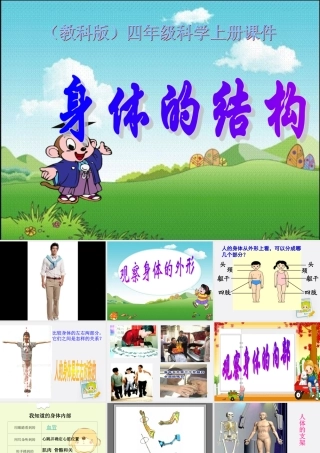 四年级科学上册 身体的结构 4课件 教科版