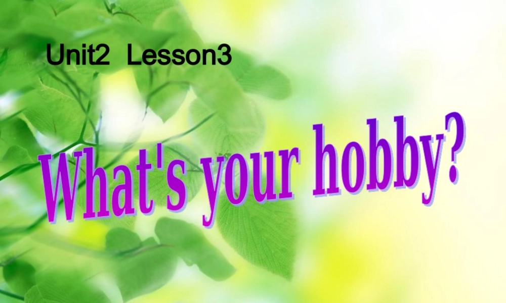 四年级英语上册 Unit 2 Lesson 3 What’s your hobby课件 鲁科版-鲁科版小学四年级上册英语课件