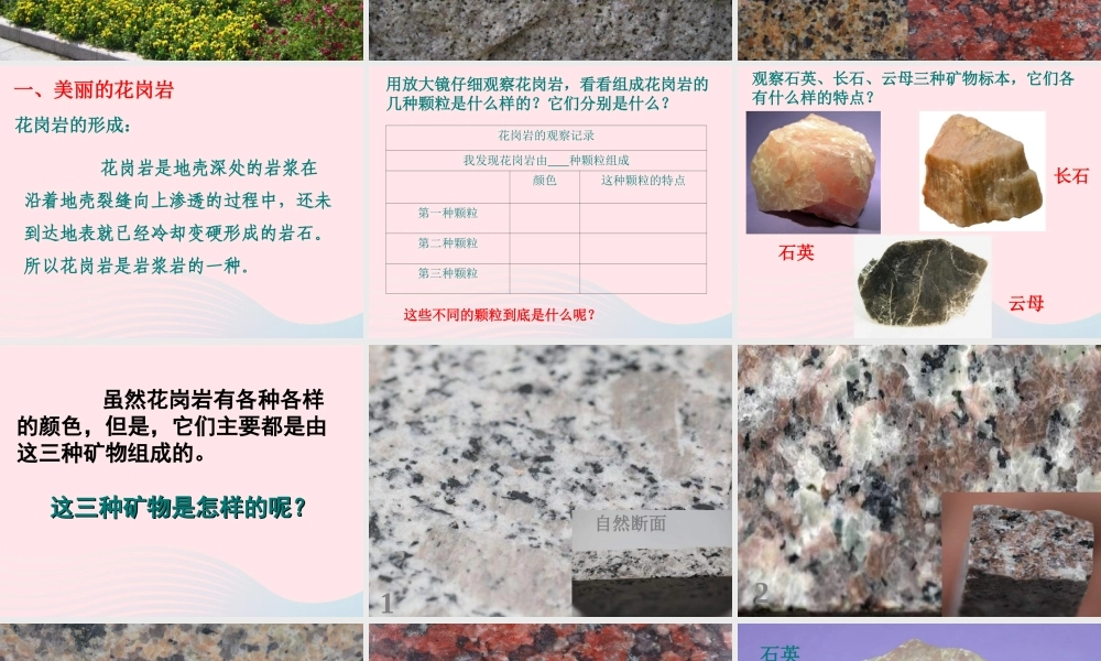 四年级科学下册 4 岩石和矿物 3 岩石的组成课件3 教科版-教科版小学四年级下册自然科学课件