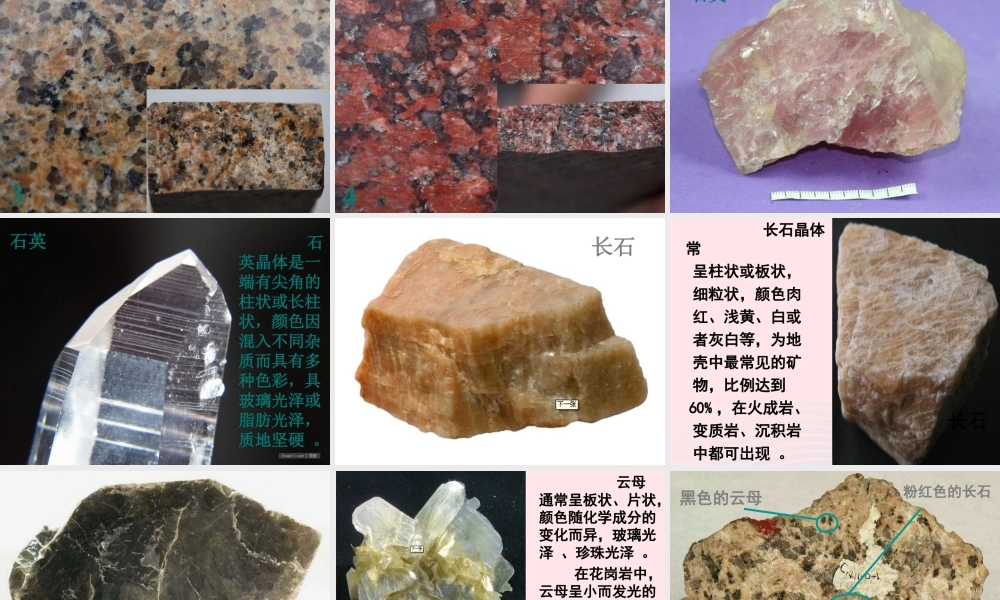 四年级科学下册 4 岩石和矿物 3 岩石的组成课件3 教科版-教科版小学四年级下册自然科学课件