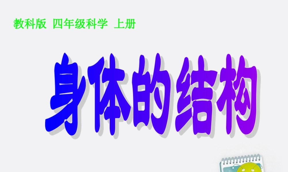 四年级科学上册 身体的结构1课件 教科版