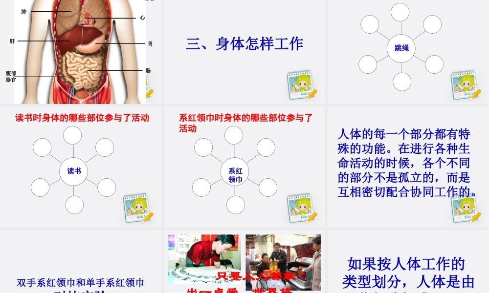 四年级科学上册 身体的结构课件 教科版