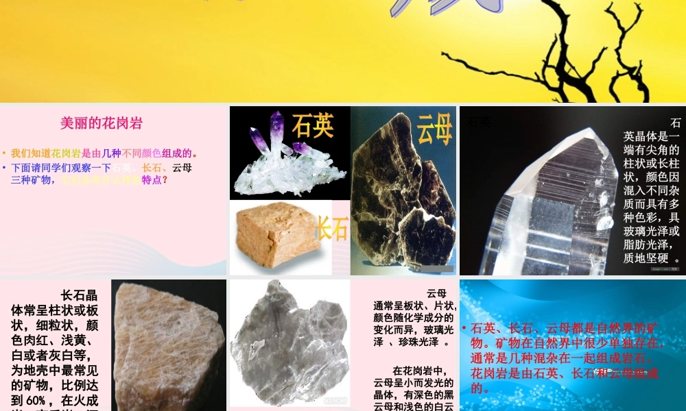 四年级科学下册 4 岩石和矿物 3 岩石的组成课件4 教科版-教科版小学四年级下册自然科学课件