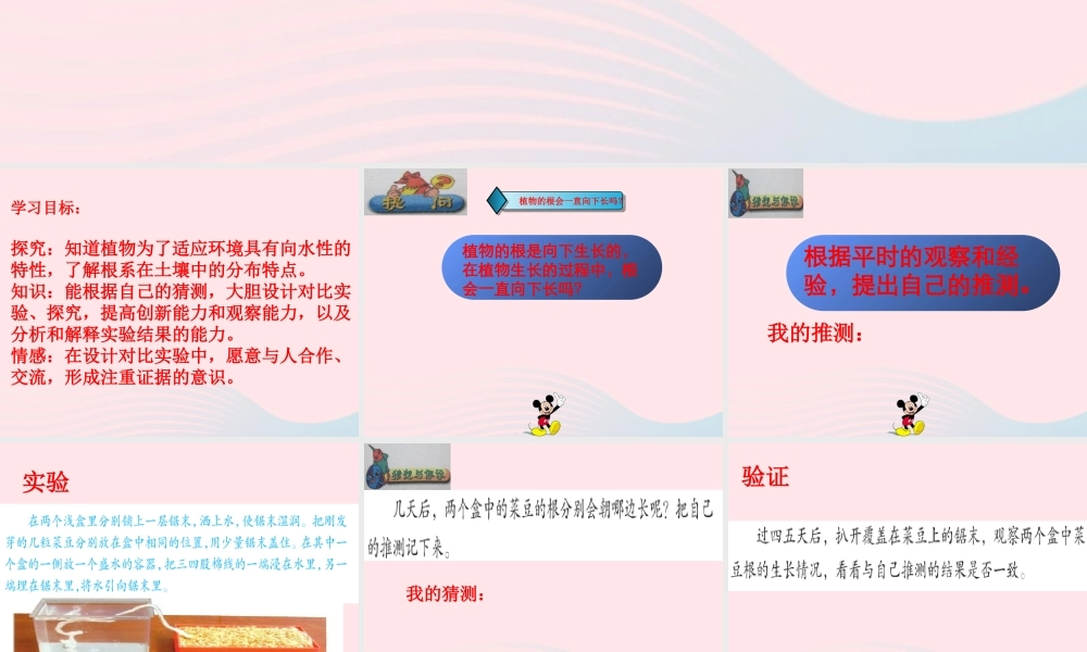 四年级科学下册 第一单元 第4课《根朝哪边长》课件2 鄂教版-鄂教版小学四年级下册自然科学课件