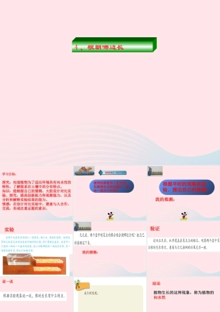 四年级科学下册 第一单元 第4课《根朝哪边长》课件2 鄂教版-鄂教版小学四年级下册自然科学课件