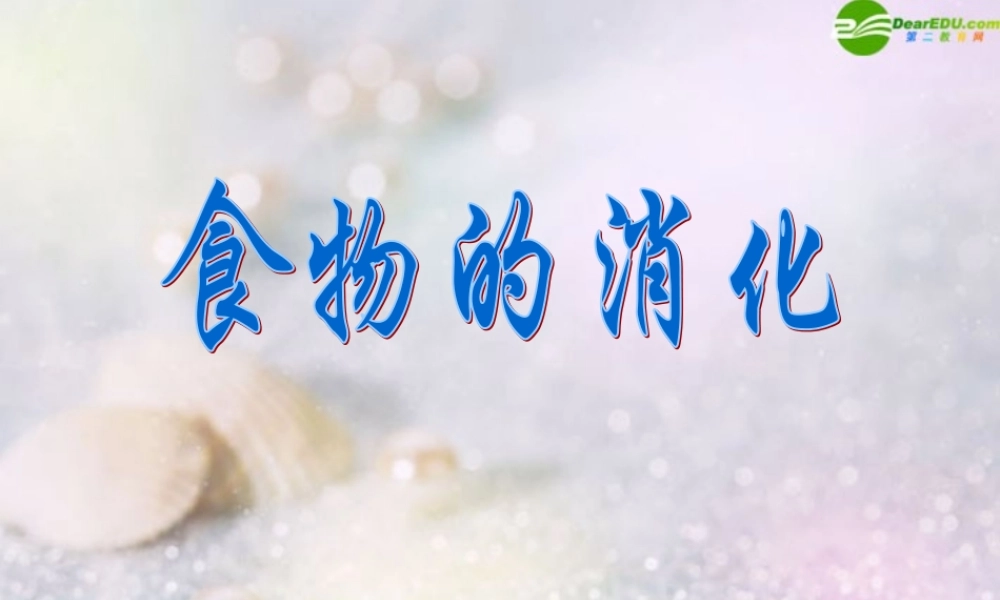 四年级科学上册 食物的消化课件 苏教版