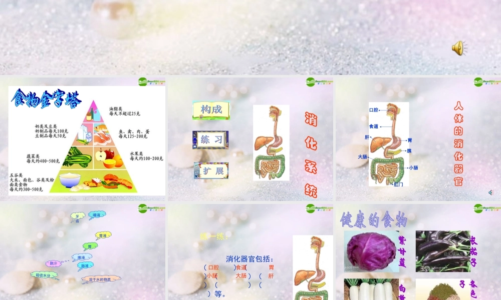 四年级科学上册 食物的消化课件 苏教版