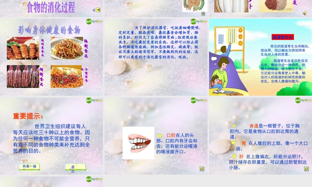 四年级科学上册 食物的消化课件 苏教版