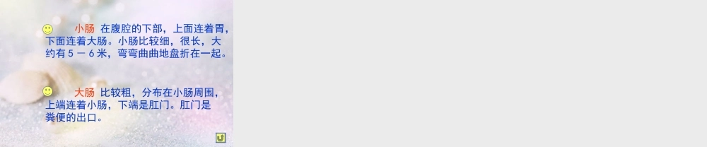 四年级科学上册 食物的消化课件 苏教版