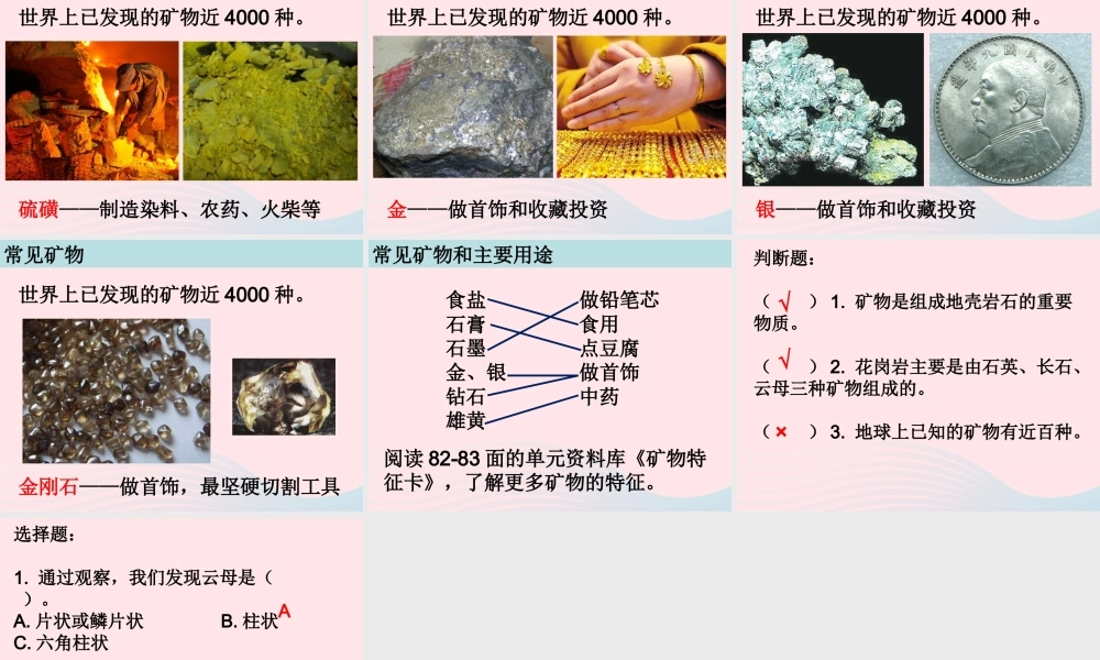 四年级科学下册 4 岩石和矿物 3 岩石的组成课件5 教科版-教科版小学四年级下册自然科学课件