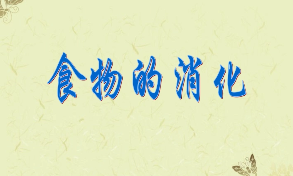 四年级科学上册 食物的消化课件2 苏教版