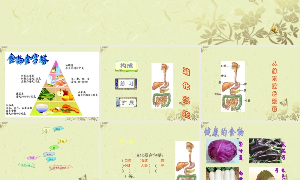 四年级科学上册 食物的消化课件2 苏教版