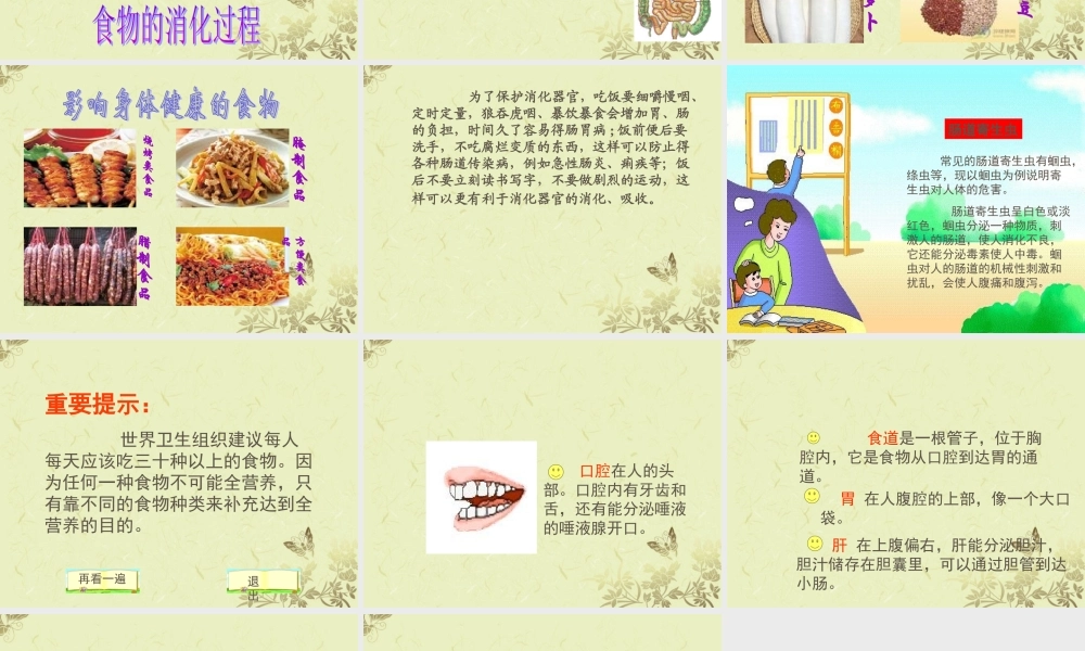 四年级科学上册 食物的消化课件2 苏教版