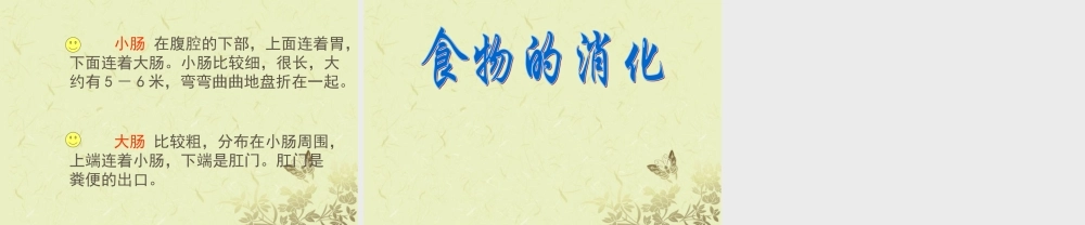 四年级科学上册 食物的消化课件2 苏教版