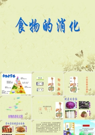 四年级科学上册 食物的消化课件2 苏教版