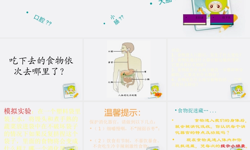 四年级科学上册 食物在体内的旅行 1课件 教科版