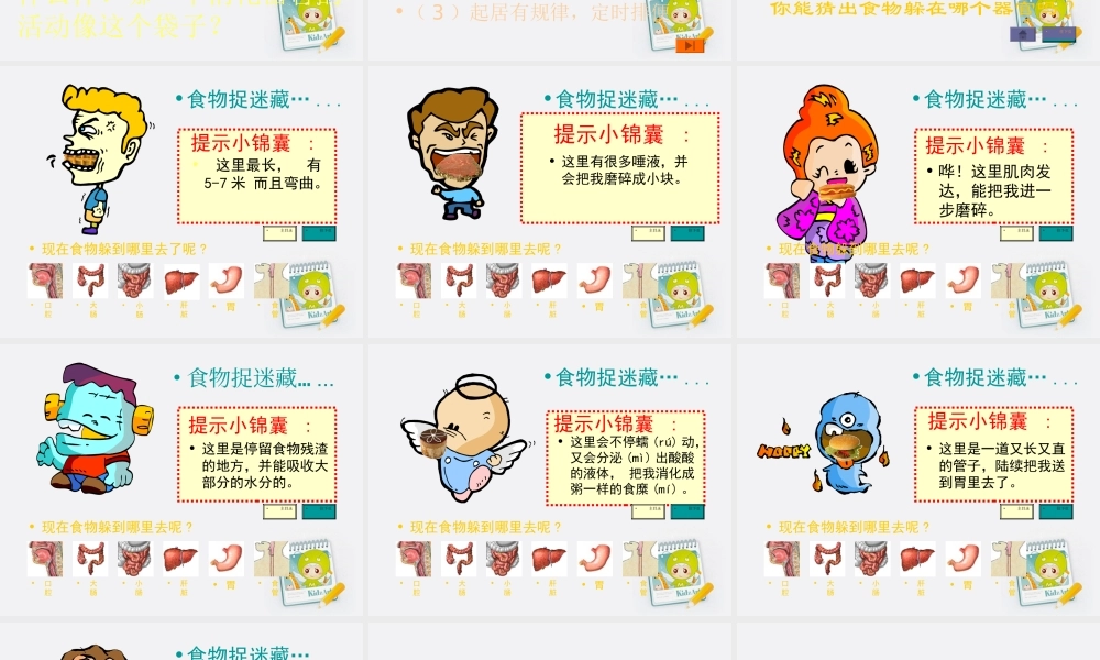 四年级科学上册 食物在体内的旅行 1课件 教科版