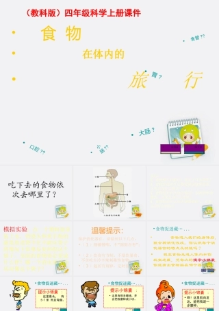 四年级科学上册 食物在体内的旅行 1课件 教科版
