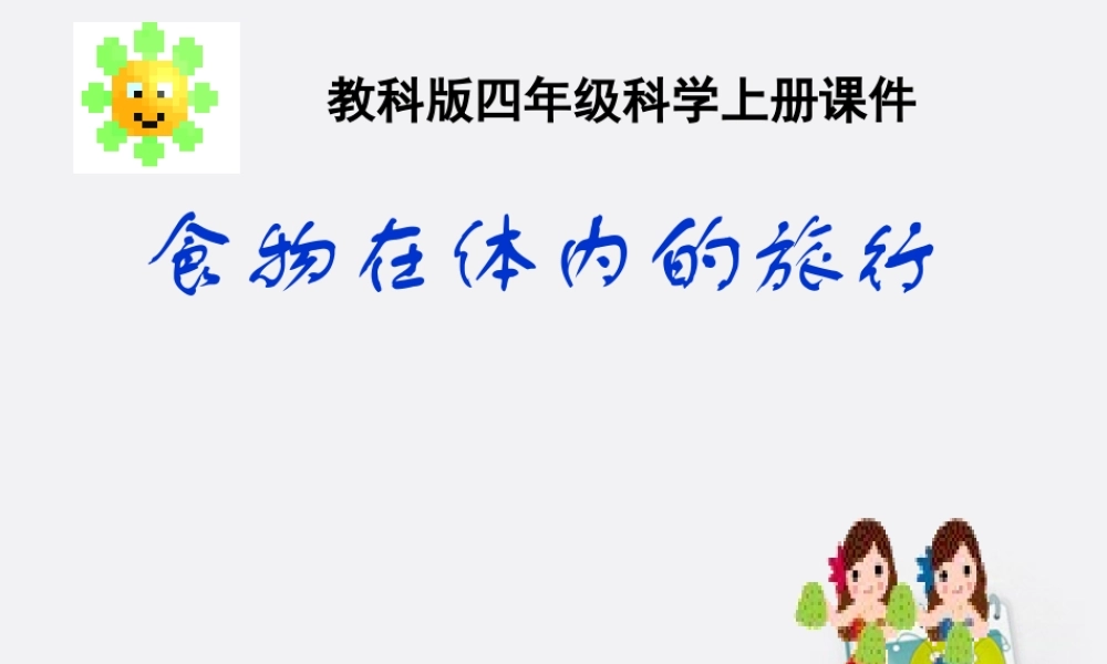 四年级科学上册 食物在体内的旅行 2课件 教科版
