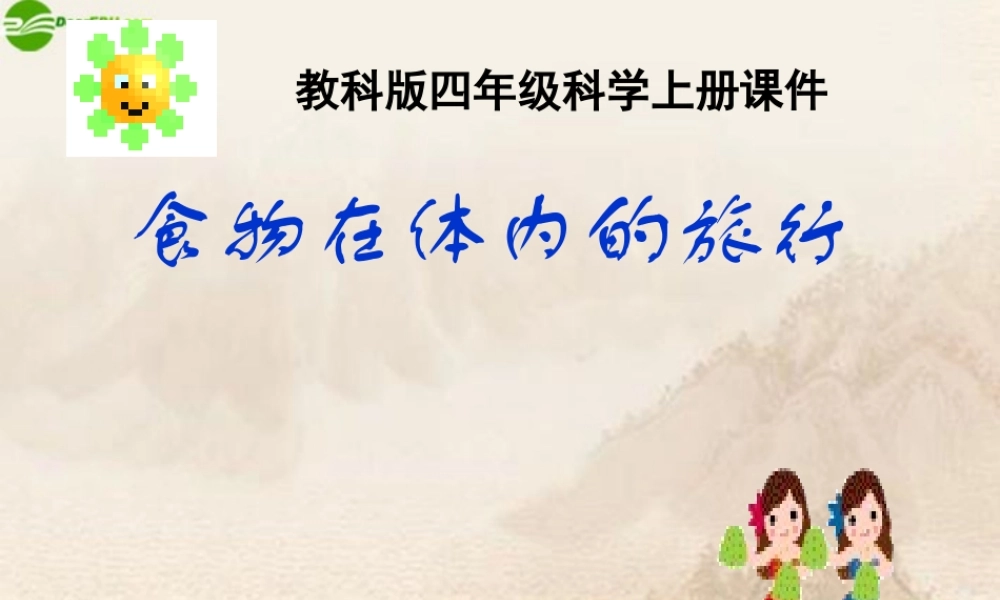 四年级科学上册 食物在体内的旅行课件 教科版
