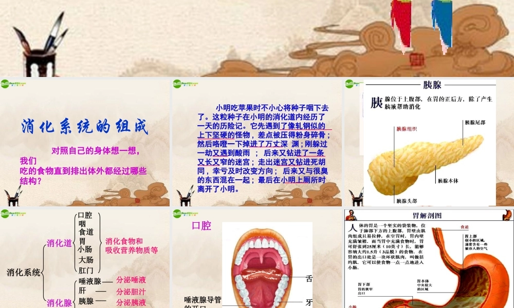 四年级科学上册 食物在体内的旅行课件 教科版