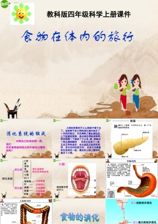 四年级科学上册 食物在体内的旅行课件 教科版