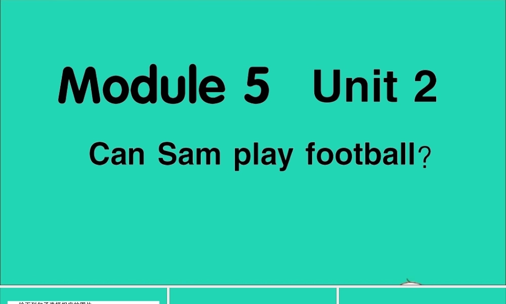 四年级英语上册 Module 5 Unit 2 Can Sam play football作业课件 外研版（三起）-外研版小学四年级上册英语课件