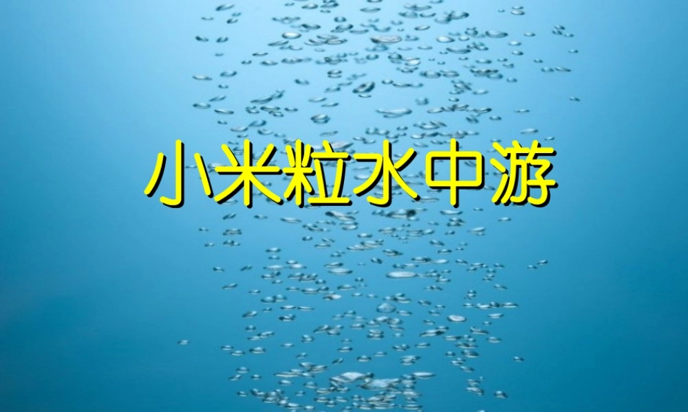四年级科学下册 第一单元 热与我们的生活 第2课《小米粒水中游》课件 青岛版五四制-青岛版小学四年级下册自然科学课件