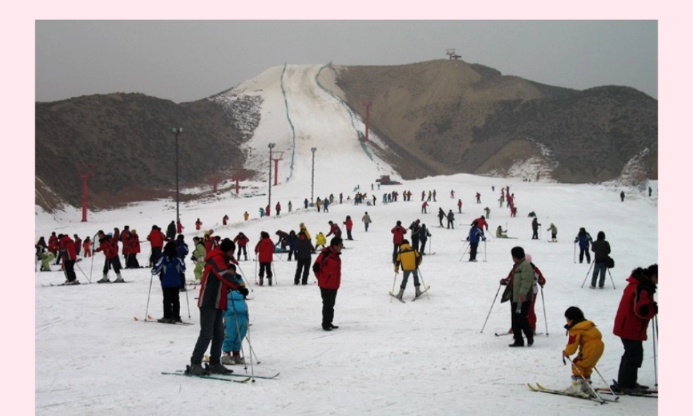 四年级科学下册 第一单元 热与我们的生活 第3课《谁热得快》课件2 青岛版五四制-青岛版小学四年级下册自然科学课件