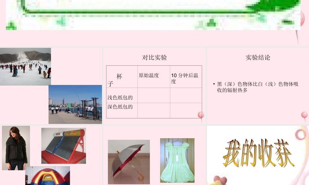 四年级科学下册 第一单元 热与我们的生活 第3课《谁热得快》课件3 青岛版五四制-青岛版小学四年级下册自然科学课件