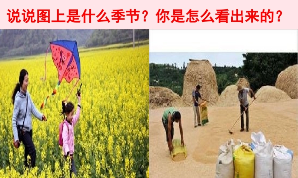 四年级科学下册 第一单元 热与我们的生活 第4课《它们会生热吗》课件1 青岛版五四制-青岛版小学四年级下册自然科学课件