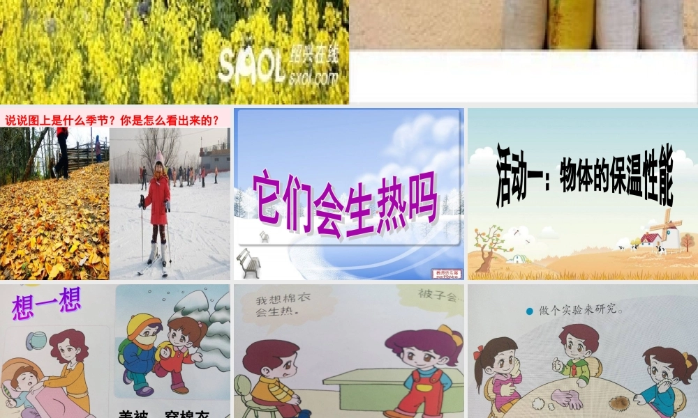 四年级科学下册 第一单元 热与我们的生活 第4课《它们会生热吗》课件1 青岛版五四制-青岛版小学四年级下册自然科学课件