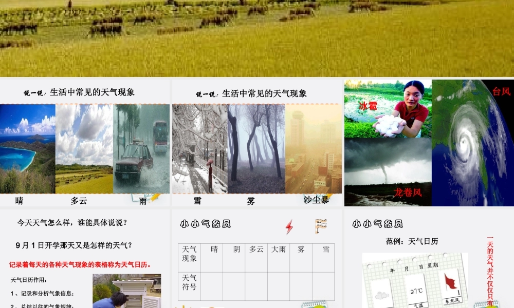 四年级科学上册 天气日历课件 教科版