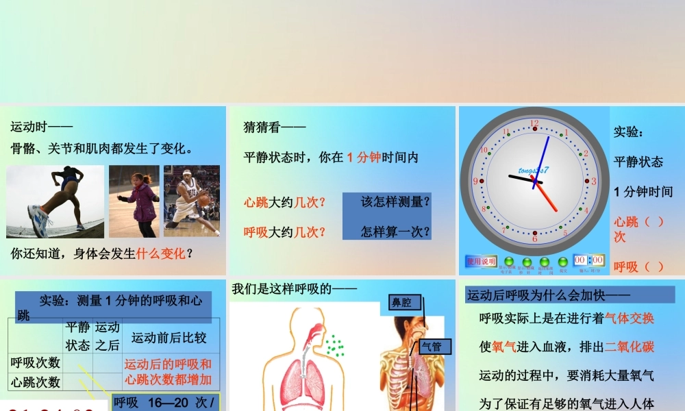 四年级科学上册 我们的身体 3运动起来会怎样一课件 教科版-教科版小学四年级上册自然科学课件