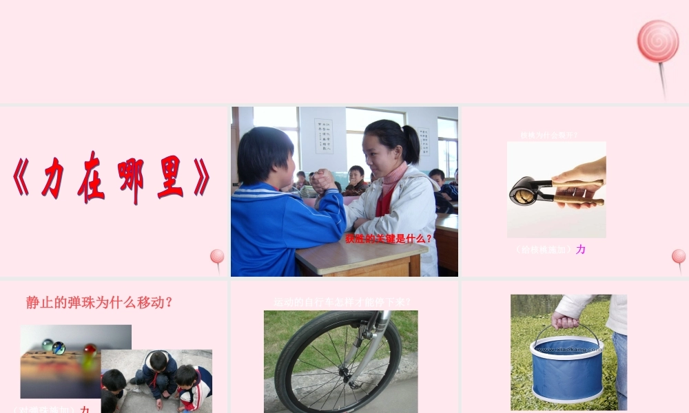 四年级科学下册 4.1力在哪里课件2 苏教版-苏教版小学四年级下册自然科学课件