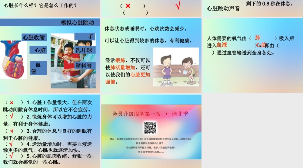 四年级科学上册 我们的身体 4运动起来会怎样二课件 教科版-教科版小学四年级上册自然科学课件