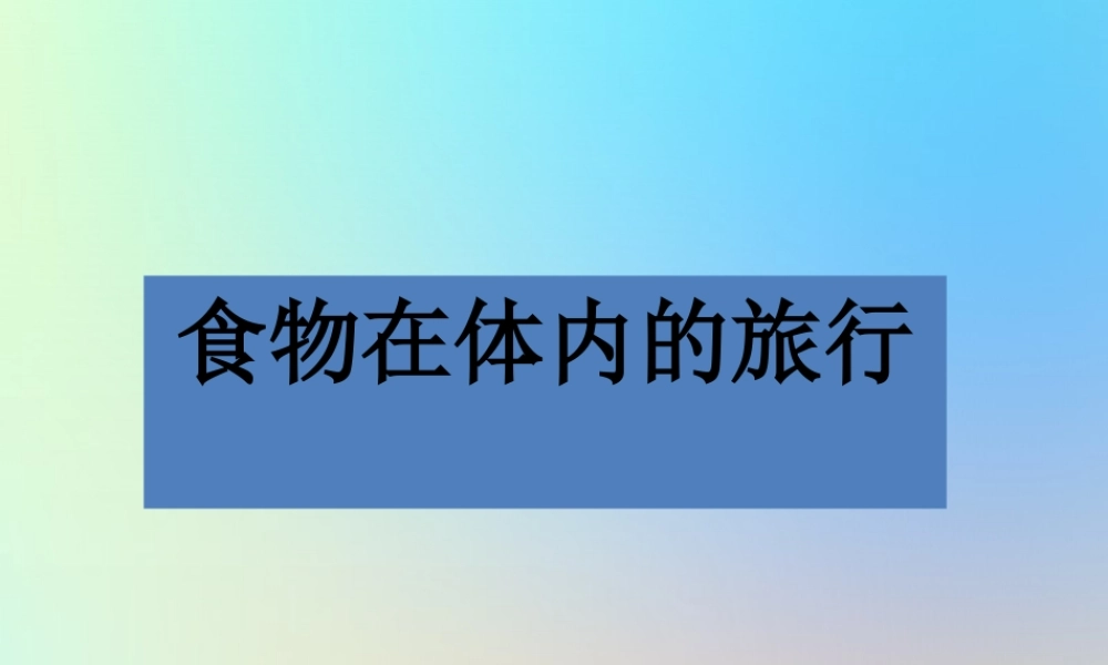 四年级科学上册 我们的身体 5食物在体内的旅行课件 教科版-教科版小学四年级上册自然科学课件