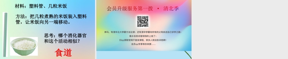 四年级科学上册 我们的身体 5食物在体内的旅行课件 教科版-教科版小学四年级上册自然科学课件