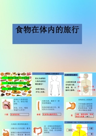 四年级科学上册 我们的身体 5食物在体内的旅行课件 教科版-教科版小学四年级上册自然科学课件