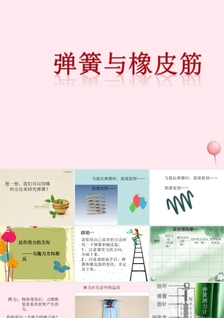四年级科学下册 4.2《弹簧和橡皮筋》课件2 湘教版-湘教版小学四年级下册自然科学课件
