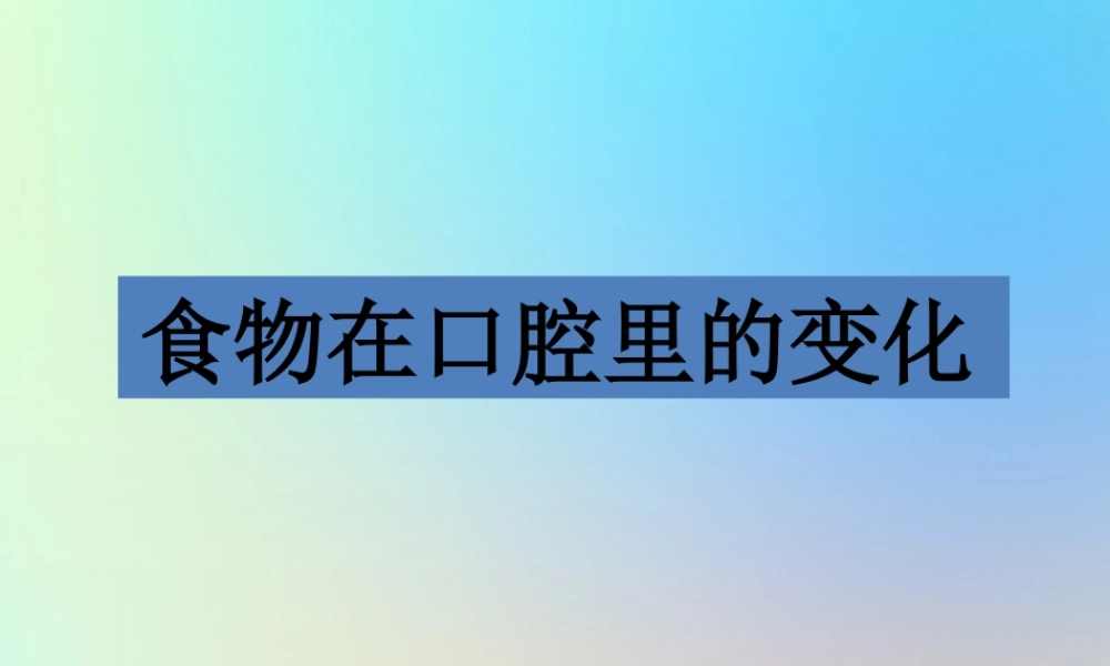 四年级科学上册 我们的身体 6食物在口腔里的变化课件 教科版-教科版小学四年级上册自然科学课件